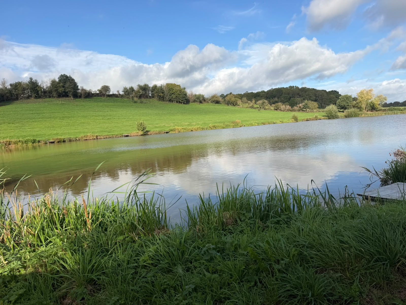 The lake on a bright afternoon