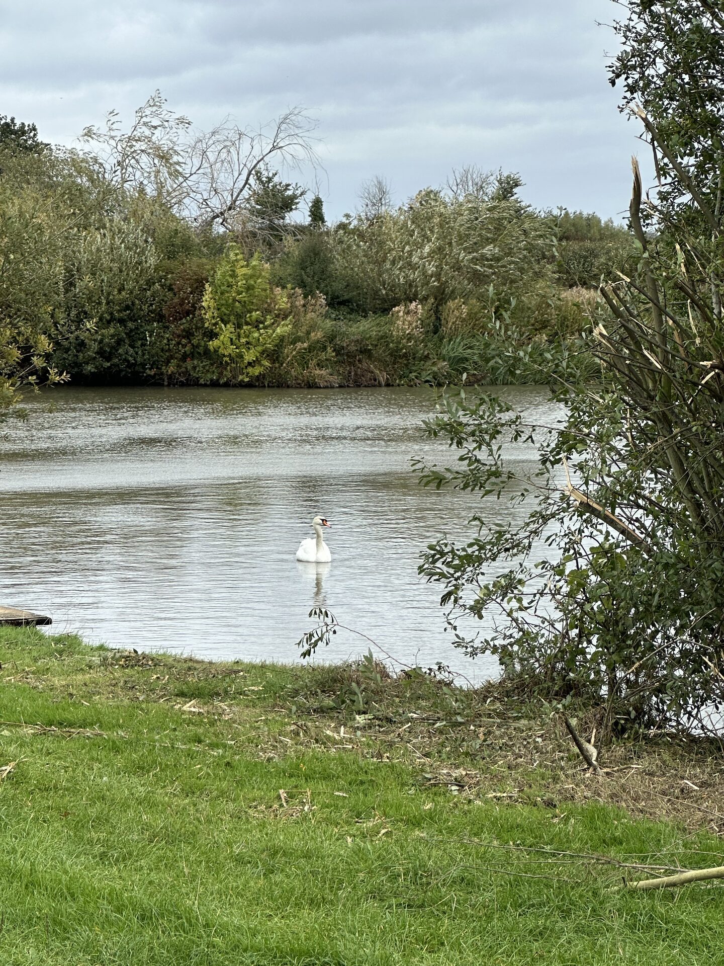 Around the lakes